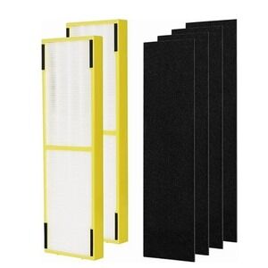 FLT4825‎ B Filter Replacements 2-Pack for AC4825 AC4300 with HEPA & Carbon